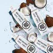 迷你椰子 種植|椰說｜栽種 – YEETREE COCONU